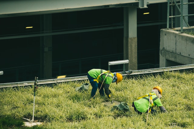 Landscaping Company in Las Vegas