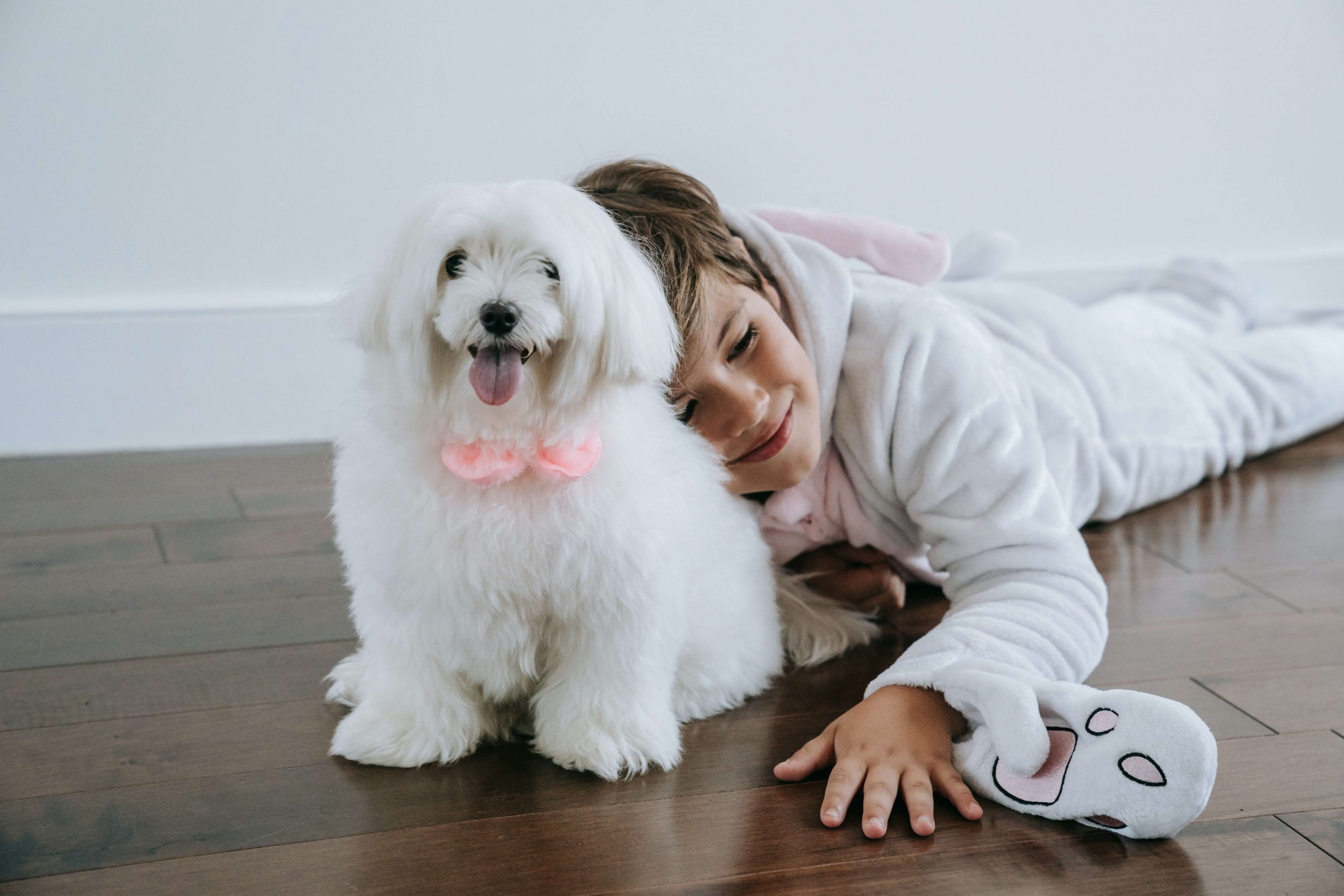 Why Adopting a Pet is Better Than Buying
