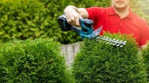 What Are Landscaping Services and Why You Need Them?